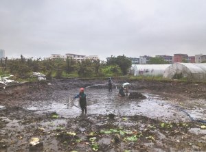 鹰潭河道鱼塘清淤