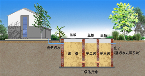 55502141.png